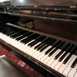 Grotrian-Steinweg